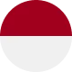 Flag of Indonesia with a red upper half and a white lower half in a circular shape.
